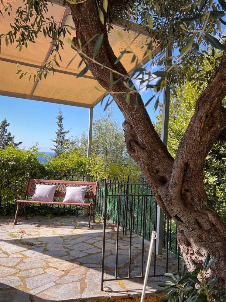 Stefanos Apartments Agios Gordios (Corfu) Exterior foto